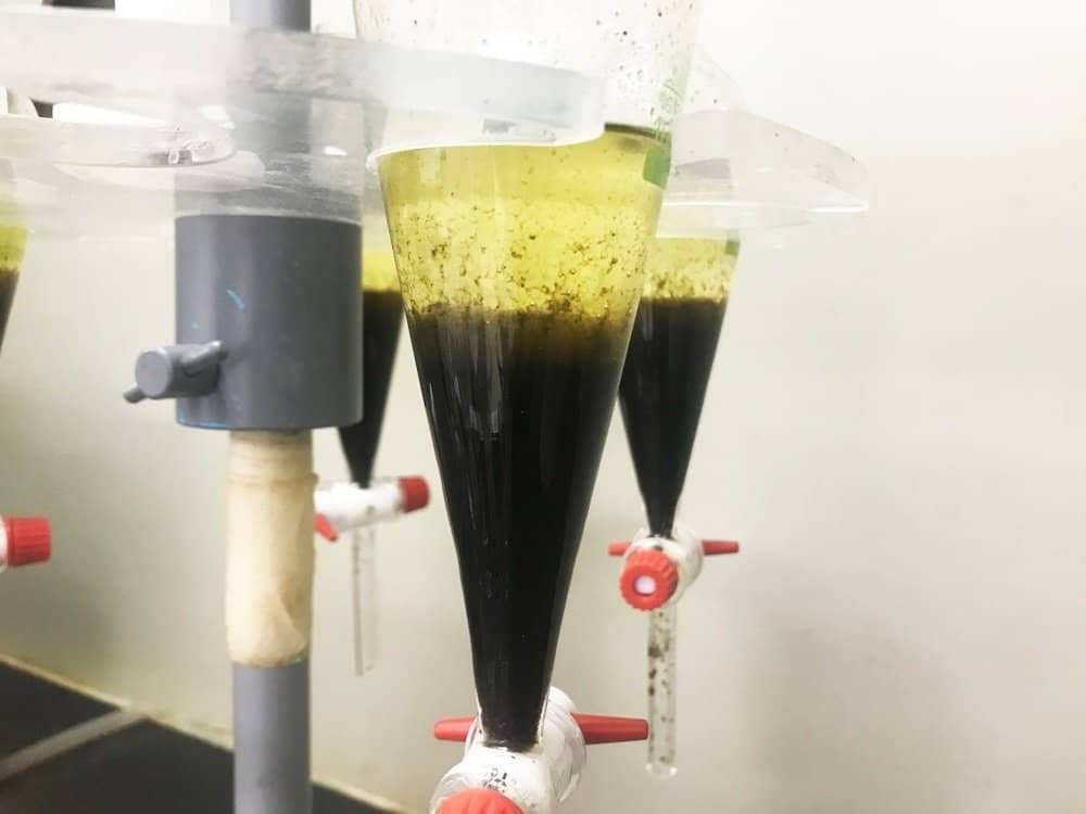 abfüllung cbd